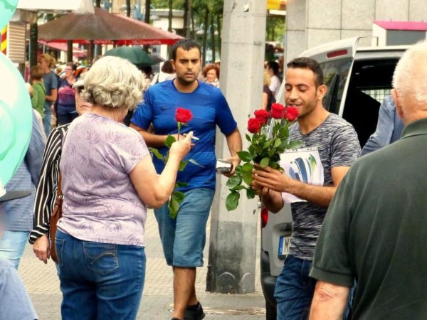 Eine Rose sagt mehr als 1.000 Worte // 20. August 2016